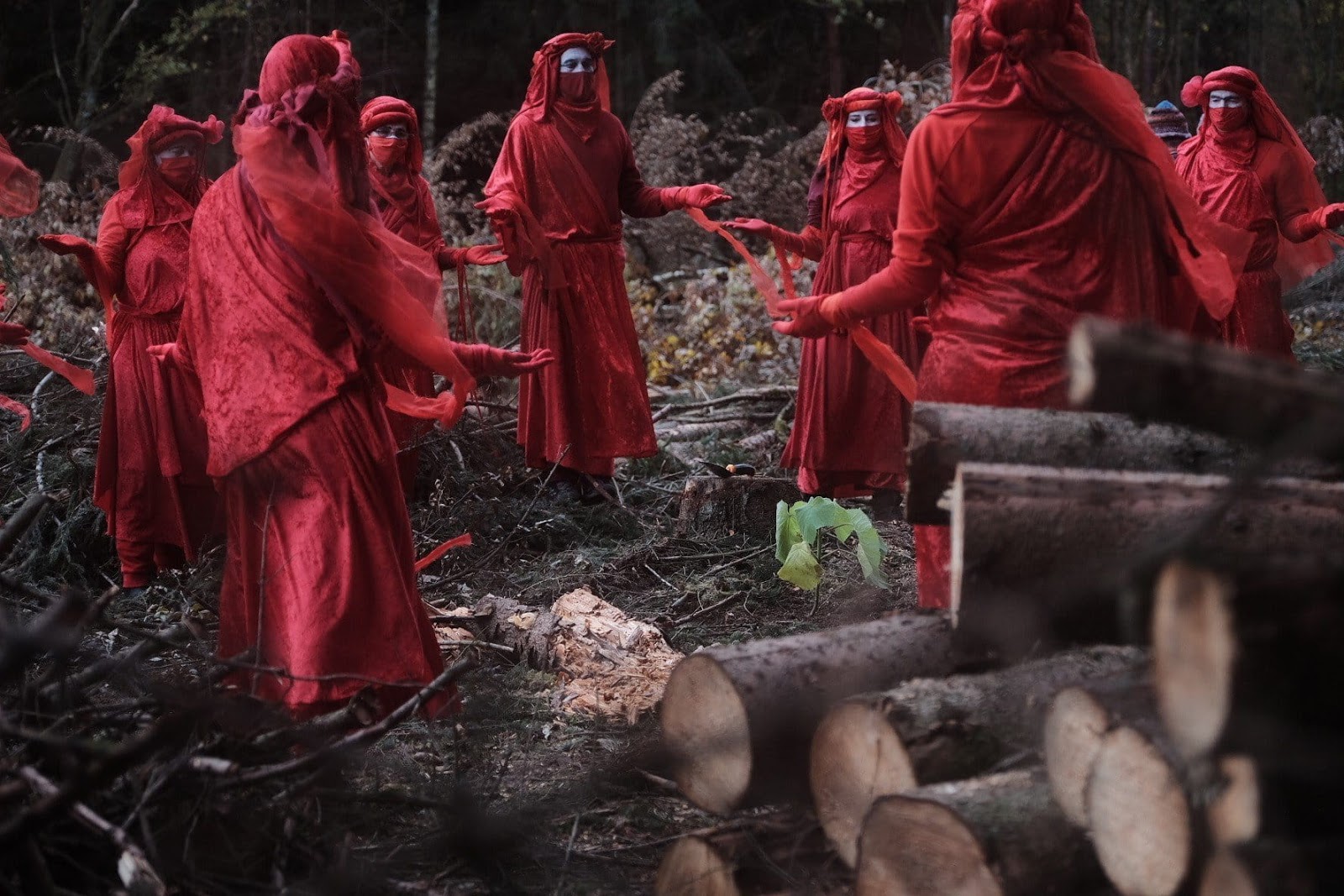 The Red Brigade en deuil suite à l'abbatage d'une forêt en Allemagnepour construire uneautoroute. 