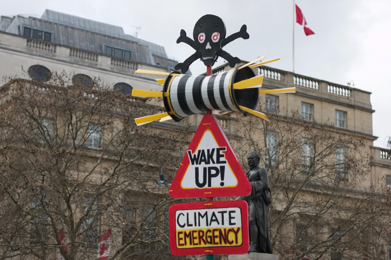 Imagem de um cartaz numa manifestação climática - uma caveira e ossoscruzados pretos, com "CO2" nos olhos, está em cima de uma sirene. Esta, porsua vez, está por cima de sinais de aviso com as palavras "wake up!"("acorda!") e "climate emergency" ("emergênciaclimática").