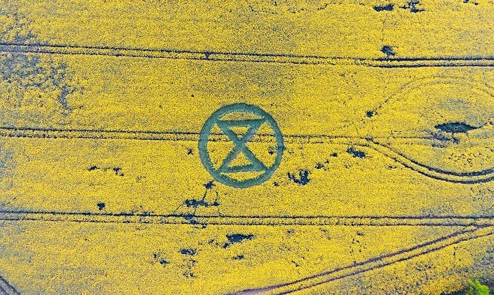 Crop Circle in the shape of the Extinction Rebellionsymbol
