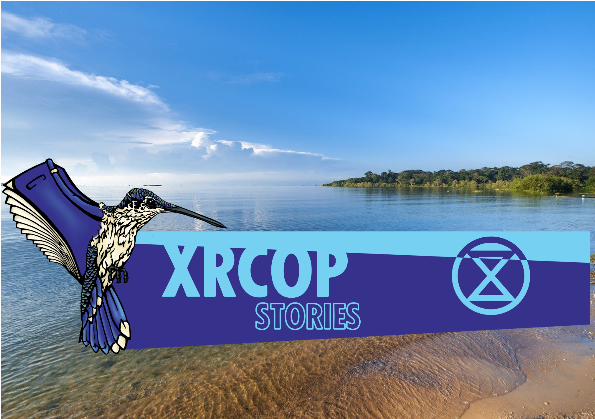 image for article xrcop: XR Universities Uganda puts on an action for World Water Day