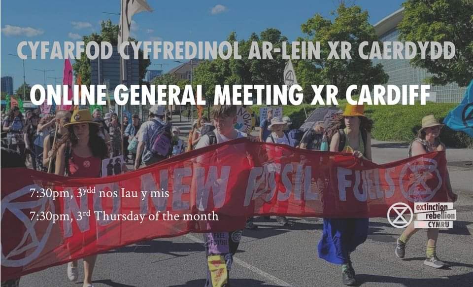image for event XR Cardiff online meeting 3rd Thurs of the month, 7.30pm