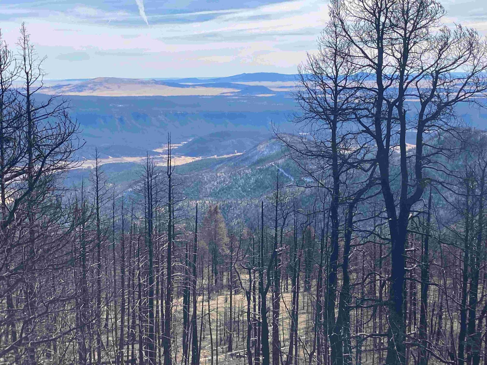 A photo taken from the side of a hill or mountain, looking down. In the foreground is a dense forest of dead, fire-blackened trees. Beyond them, ranges of hills stretch off into the far distance. Huge patches of sun and shadow dapple the landscape, and the sky is streaked white and blue with cloud. The image is lovely in a slow, vast, iconic way. Some of the dead branches shine in the sun almost like spiderweb.
