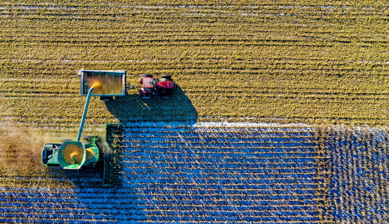 Aerial view of grain being picked from a field by a harvester and a tractor
