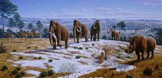 Elephants and rhinos in a snowy Russian steppe