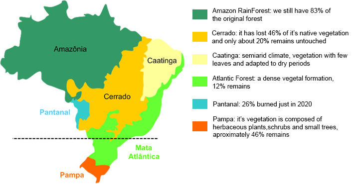 The cerrado vegetation of Brazil